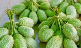 邯郸新世纪吃瓜视频,一场全民围观的热闹盛宴