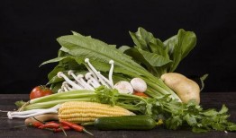 邯郸新世纪吃瓜视频,一场全民围观的热闹盛宴