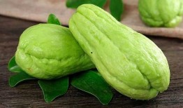 蒋雅茹吃瓜,揭秘娱乐圈幕后故事