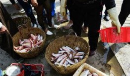 渔民现场吃瓜,共享丰收喜悦