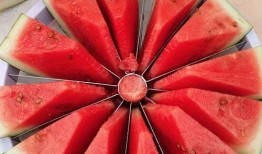 有趣的吃瓜大赛,一场趣味横生的吃瓜大赛盛况回顾