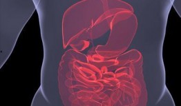 结肠炎吃凉瓜拉肚,饮食调整的重要性