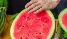 上大学吃的瓜,揭秘校园生活点滴趣事