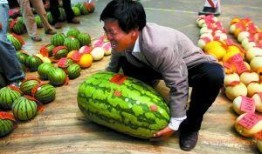 深圳lc club吃瓜,揭秘网红打卡地的吃瓜趣事