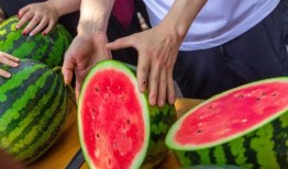 大学吃瓜食堂,舌尖上的吃瓜乐园