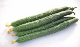 上火吃瓜好吗,上火吃瓜，清凉一夏