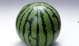 吃瓜会变胖,吃瓜也能变胖？揭秘瓜果热量与体重管理之谜