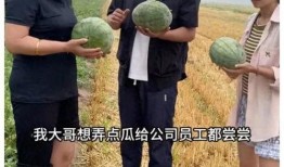 村民围观吃瓜,揭秘乡村生活百态