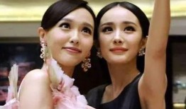 杨幂的瓜吃,揭秘娱乐圈背后的真相与争议