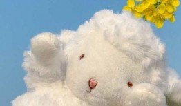 搞怪头像小羊 吃瓜,搞怪头像羊羊们的欢乐时光