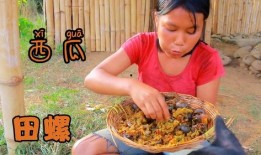 户外吃瓜视频大赛,全民参与的视频大赛狂欢