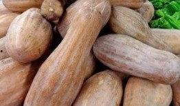 圆的方瓜怎么吃,探索独特食材的多重食法