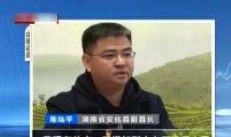 县长直播吃瓜视频,揭秘幕后故事