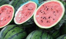 缅甸北部吃瓜网,吃瓜网带你探秘神秘边境生活