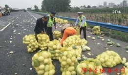 高密观察吃瓜群众,揭秘吃瓜群众的趣味生活