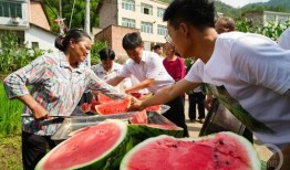 村民围观吃瓜,揭秘乡村生活百态