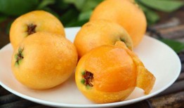 酥瓜可以和枇杷一起吃吗,美味搭配的饮食新主张