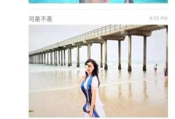 加州女博士最新吃瓜,揭秘娱乐圈幕后真相