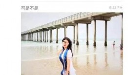 加州女博士最新吃瓜,揭秘娱乐圈幕后真相