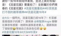 新版吃瓜视频,揭秘娱乐圈最新热点事件