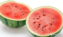 网上卖的瓜怎么吃,解锁瓜果美味新境界