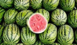 等着吃大瓜图片,揭秘“大瓜”背后的故事