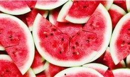 吃热瓜,热瓜消暑，尽享清凉时光