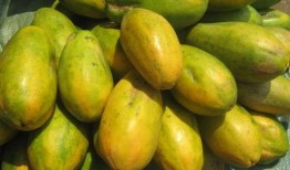 儋州吃瓜视频,揭秘当地特色美食与风土人情