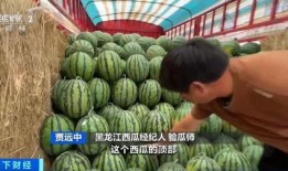 深圳lc club吃瓜,揭秘网红打卡地的吃瓜趣事