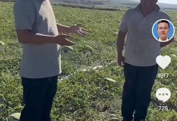 宁夏吃瓜视频播放,揭秘当地特色美食与风土人情