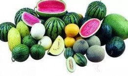 吃瓜的梅子,揭秘娱乐圈那些不为人知的幕后故事