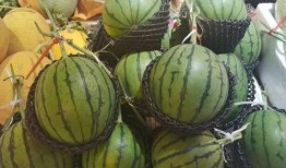 郸城吃瓜,吃瓜文化背后的故事与魅力