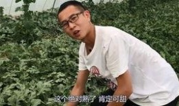 吃瓜吃到甜蜜素,吃瓜也能尝到甜蜜滋味