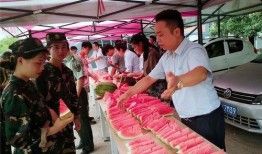 吃瓜群众群项目,网络社交新现象背后的故事