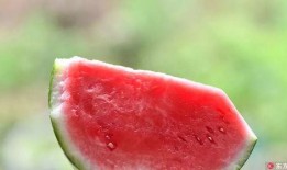 吃瓜一夜,揭秘娱乐圈幕后真相