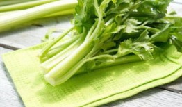 吃烧瓜发苦,探究食用安全与美味平衡之道