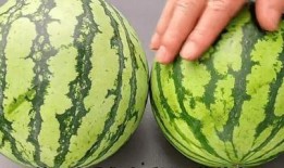 吃瓜遗忘法,轻松告别烦恼生活