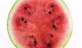 吃瓜遗忘法,轻松告别烦恼生活