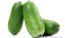 吃瓜4号,一场网络热点的狂欢与反思