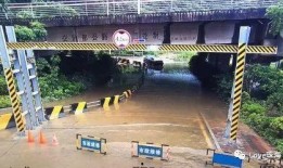 阳谷吃瓜群,揭秘民间热点事件的“舆论风向标”