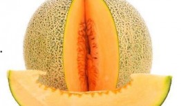 喝可乐多久可以吃哈密瓜,揭秘最佳食用间隔时间