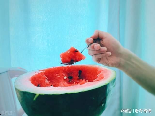 什么是围观吃瓜的人,揭秘网络时代的人生百态